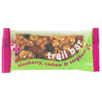 Gayleen's Trail Bar Blueberry Cashew Sorghum